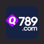 Q789 Game apk