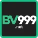 BV999 Game logo